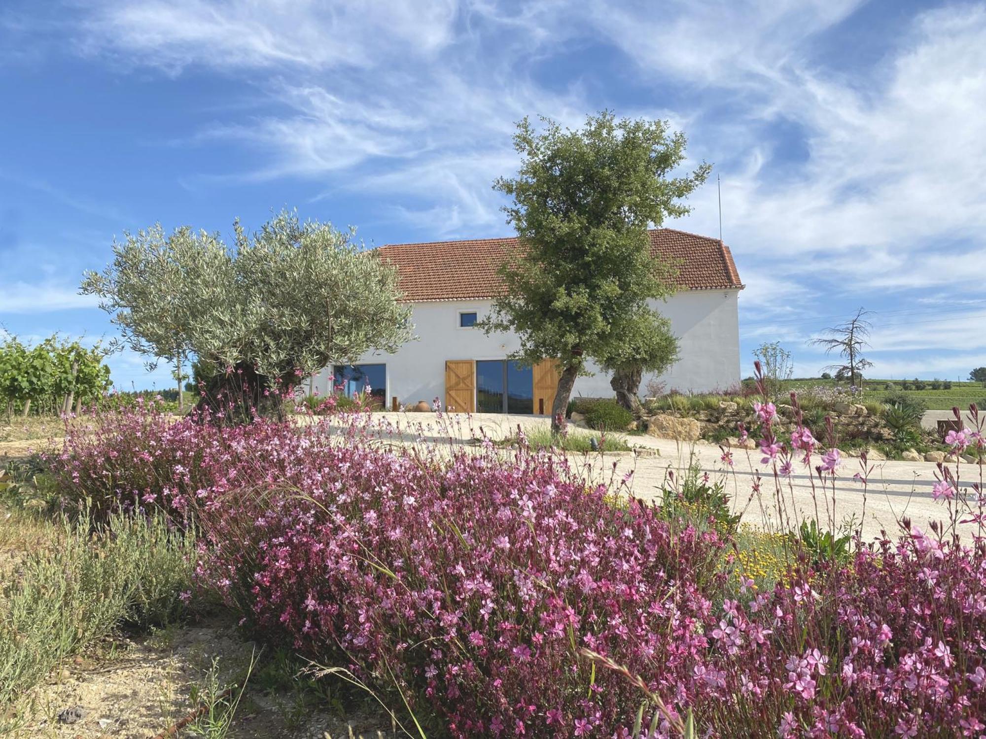 Villa Cas'Amaro Alenquer Exterior foto